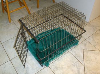 Cage à chien-thumb